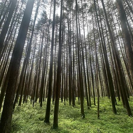 Deodar Village Homestay Devalsari Mussoorie Eksteriør bilde