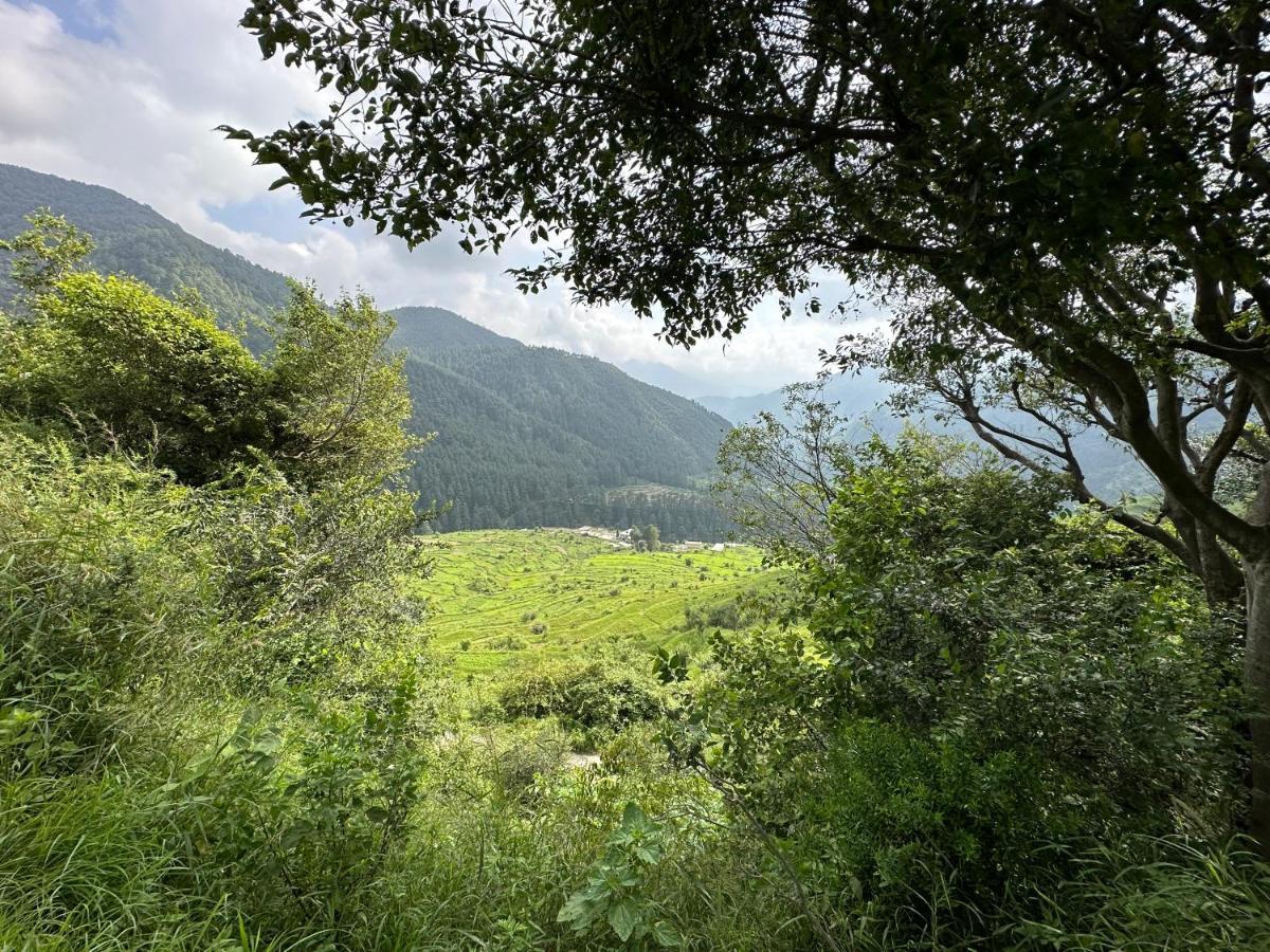 Deodar Village Homestay Devalsari Mussoorie Eksteriør bilde