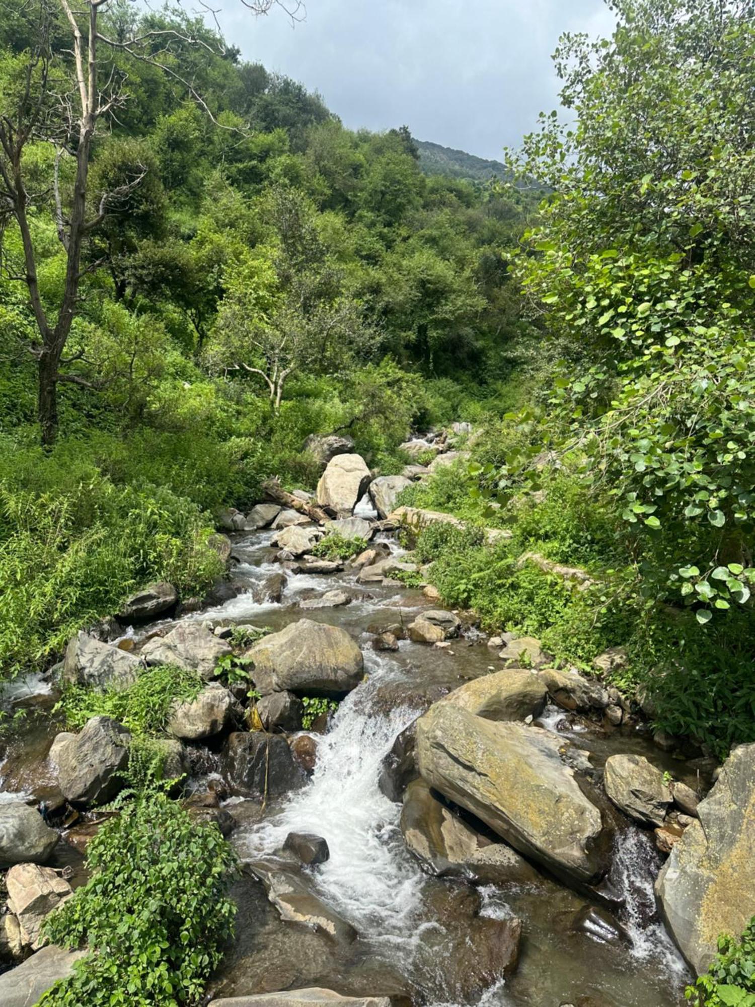 Deodar Village Homestay Devalsari Mussoorie Eksteriør bilde