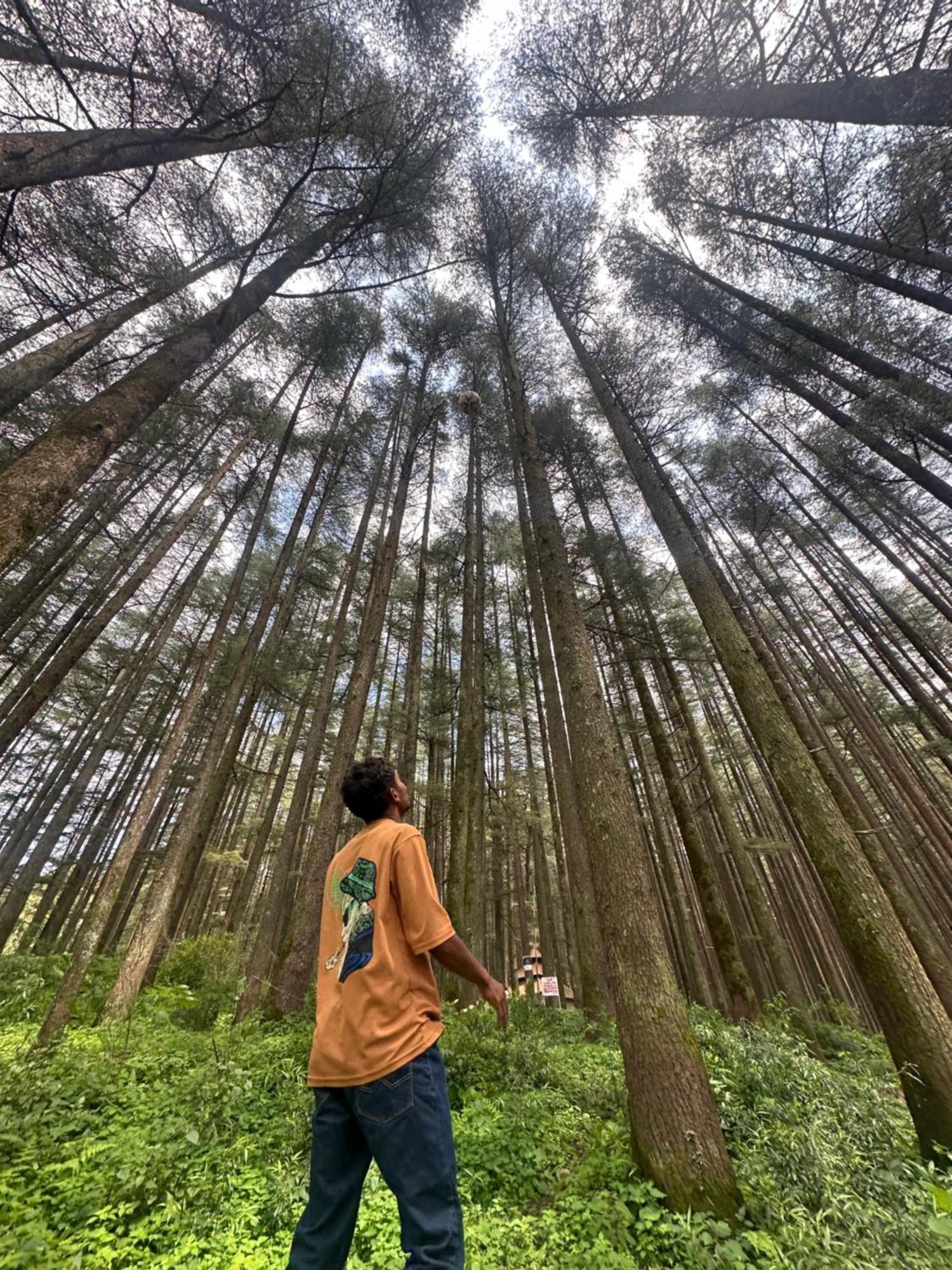 Deodar Village Homestay Devalsari Mussoorie Eksteriør bilde
