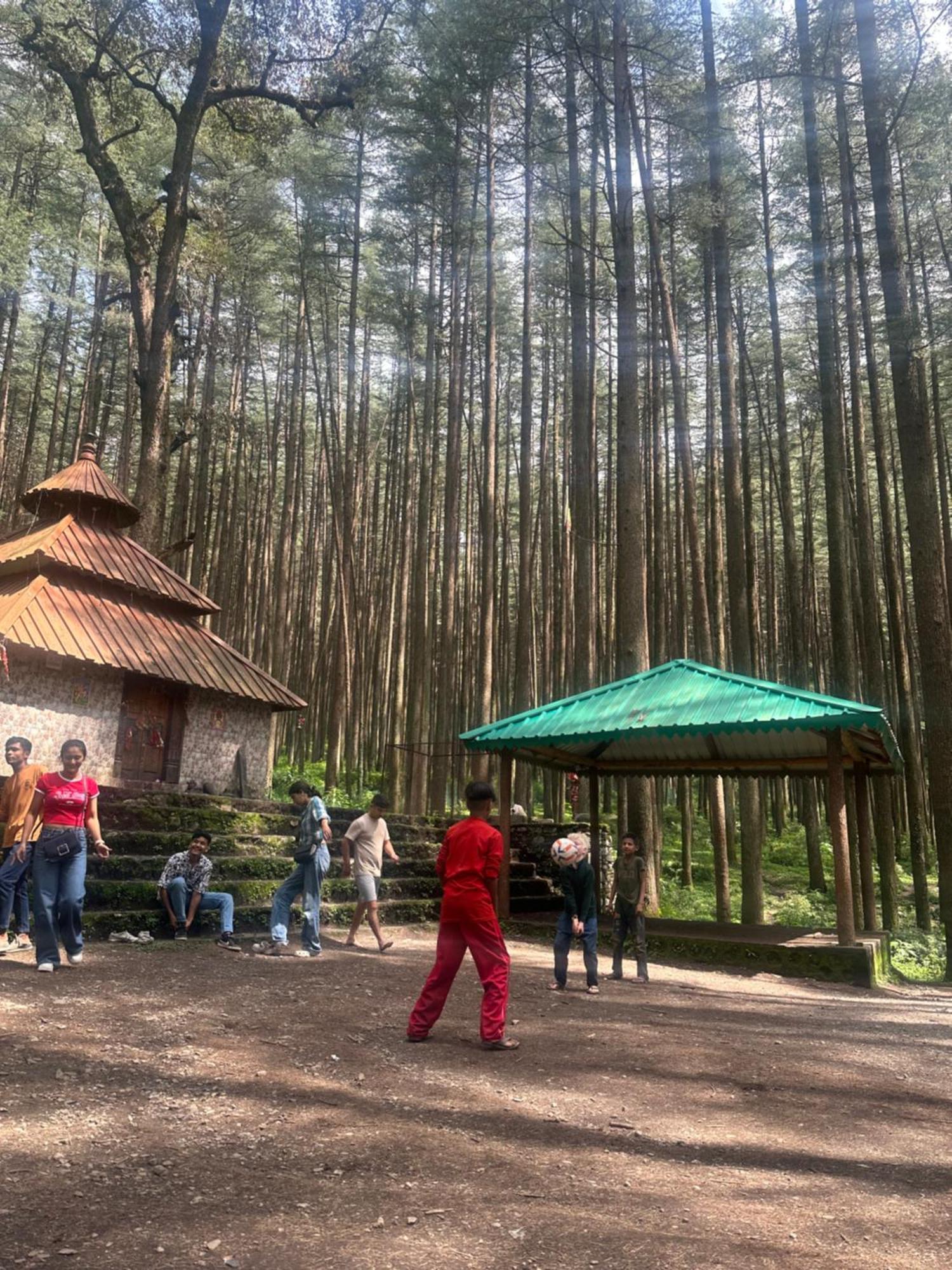 Deodar Village Homestay Devalsari Mussoorie Eksteriør bilde