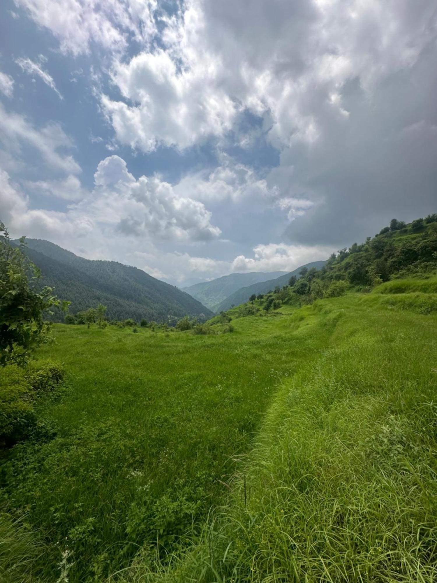 Deodar Village Homestay Devalsari Mussoorie Eksteriør bilde