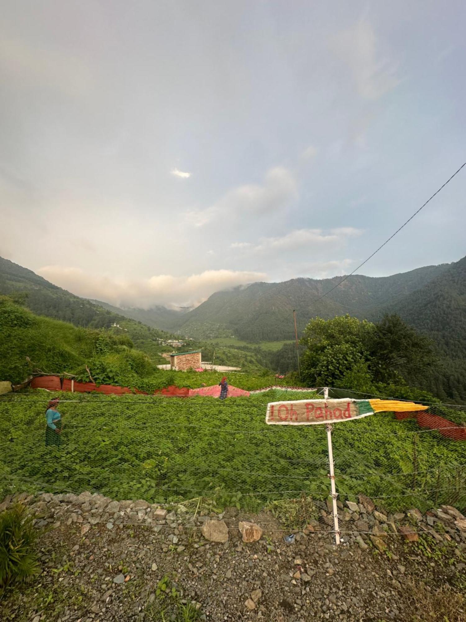 Deodar Village Homestay Devalsari Mussoorie Eksteriør bilde