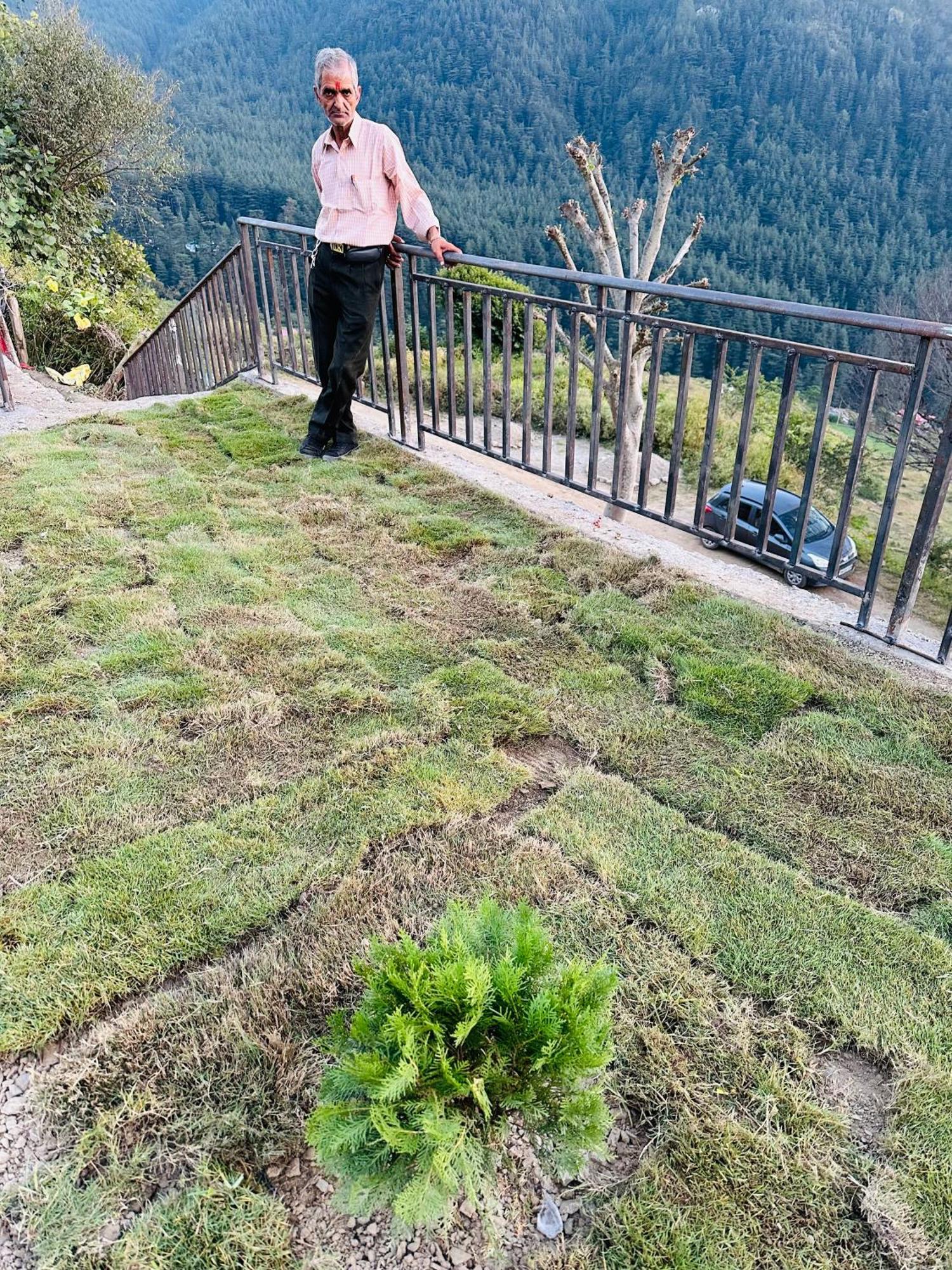 Deodar Village Homestay Devalsari Mussoorie Eksteriør bilde