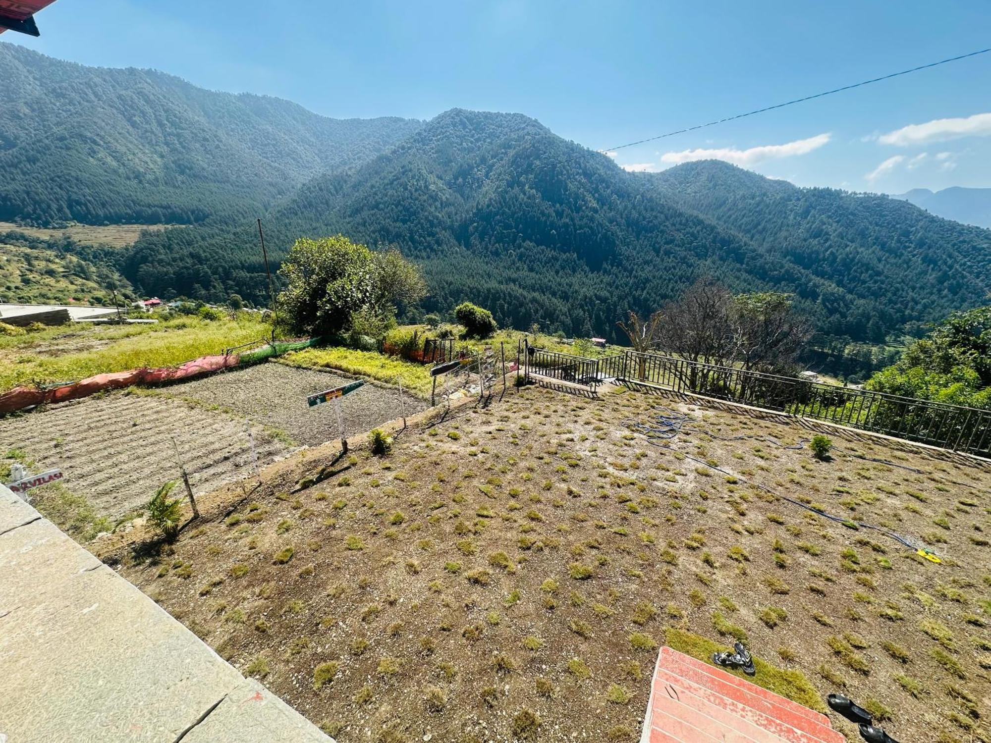 Deodar Village Homestay Devalsari Mussoorie Eksteriør bilde
